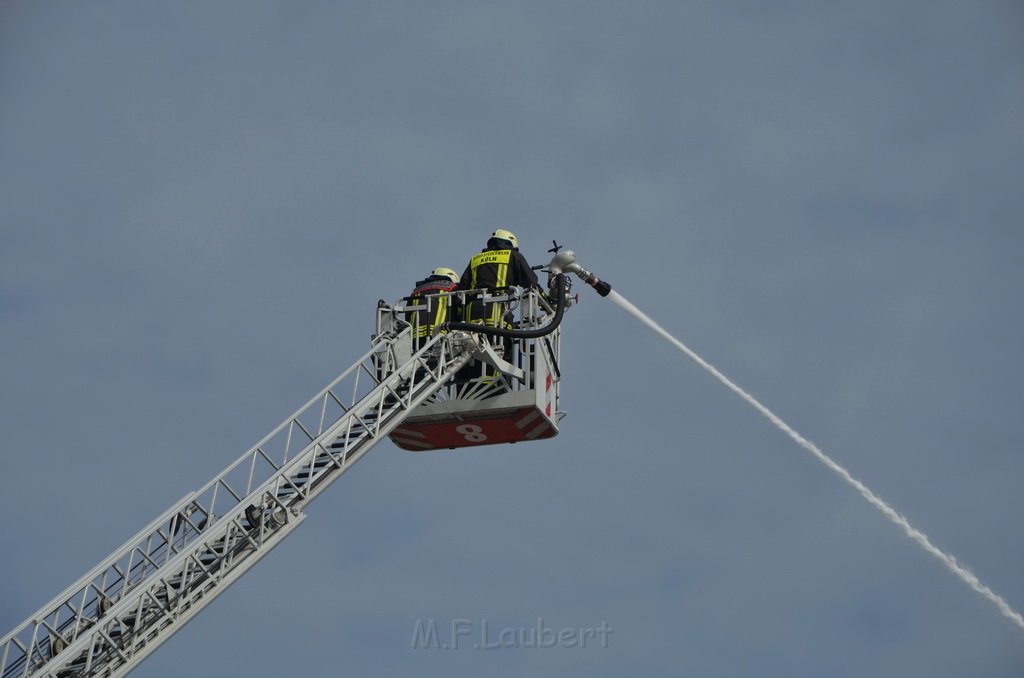 Grossfeuer Poco Lager Koeln Porz Gremberghoven Hansestr P839.jpg - Miklos Laubert